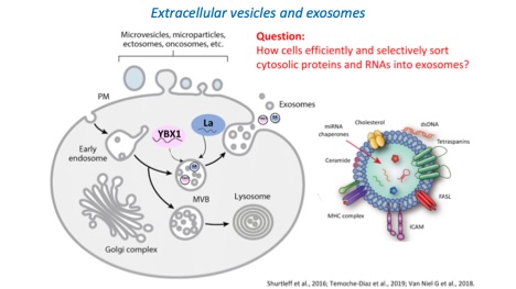 research image